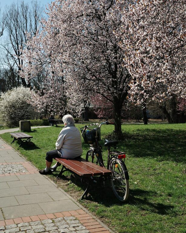 Przewodnik po wyjątkowych parkach miejskich w Polsce na wiosnę